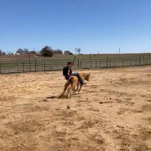 Meet your Posher, Braden